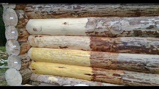 видео: Какой цвет у бревна после АНТЕКС. Меняет ли цвет древесина после обработки антисептиками для дерева. картинка: Какой цвет у бревна после АНТЕКС. Меняет ли цвет древесина после обработки антисептиками для дерева.