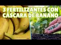 3 FERTILIZANTES CON CASCARA DE BANANO