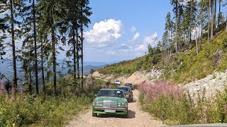 Долина Карпати остання сутка і проїзд гірською дорогою.