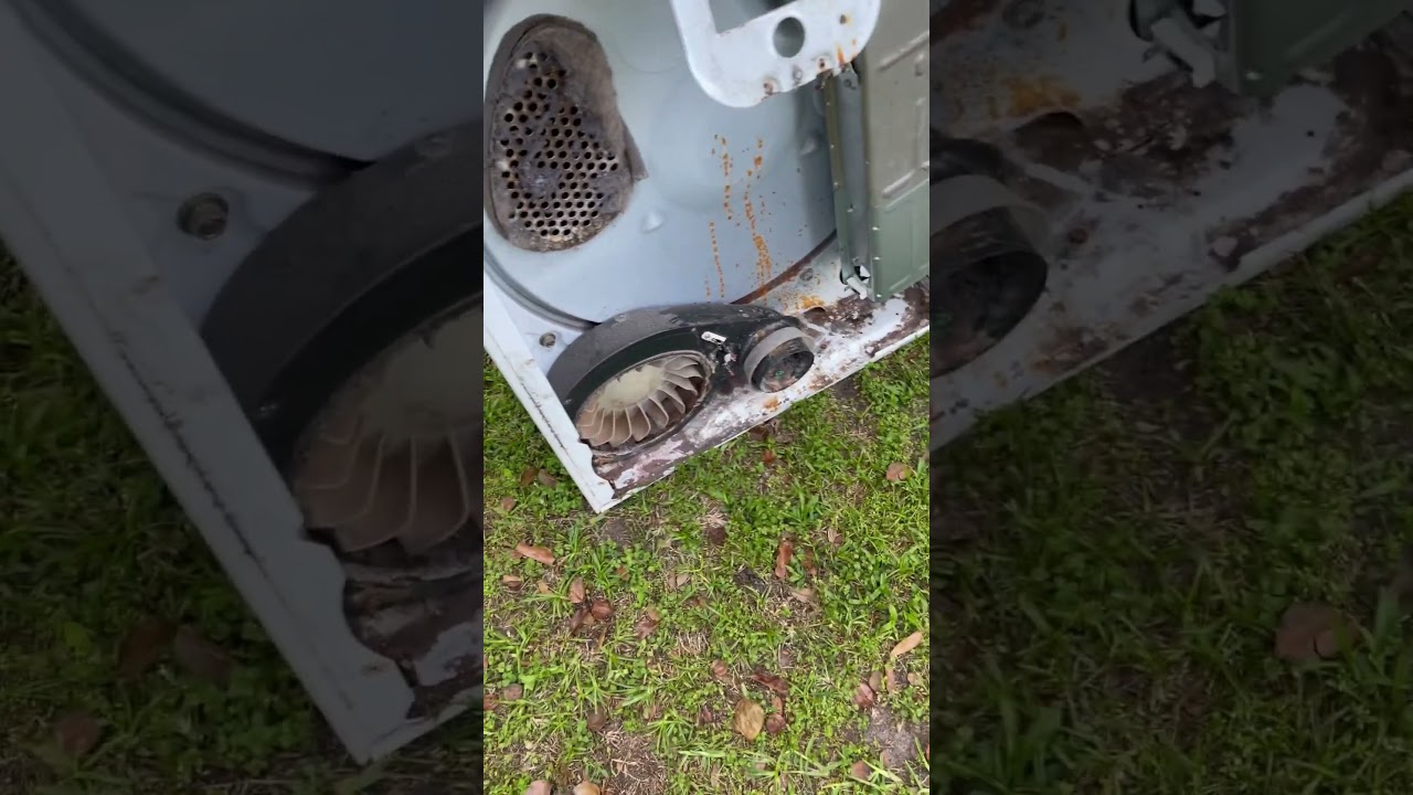 Before scrapping a dryer make sure you take the back apart, never know what you find! 