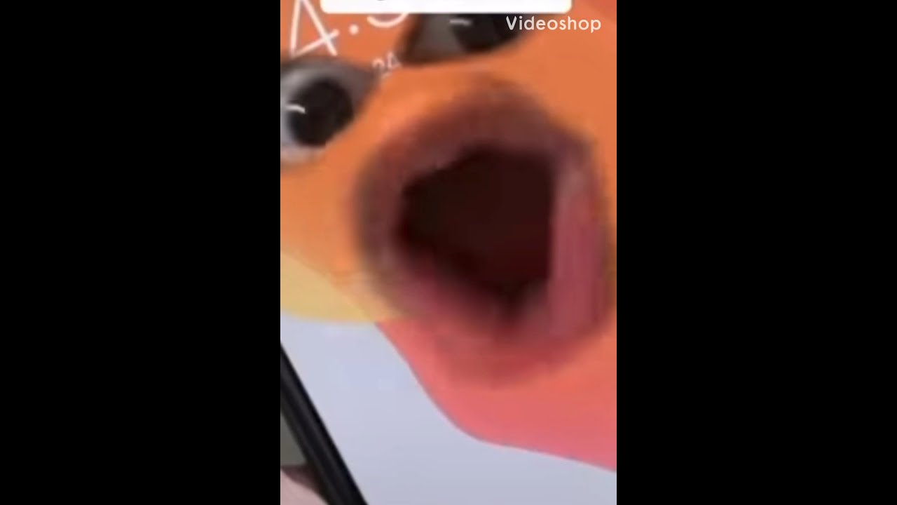 Who tf are you meme 😂 | 