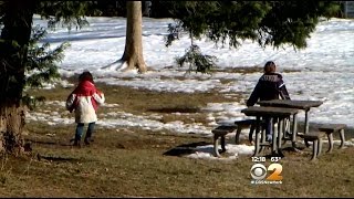 Free Range Children Put In Protective Custody