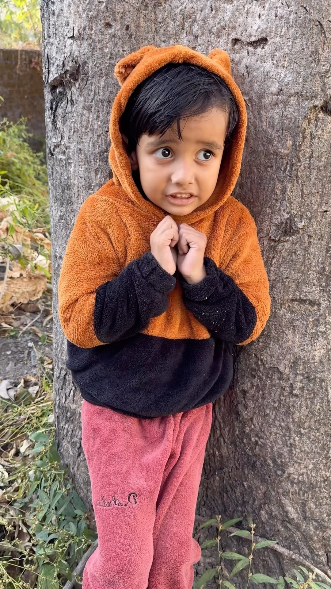 Vivaan ko kiska darr hai ?? #seemavinaylamba #seevila