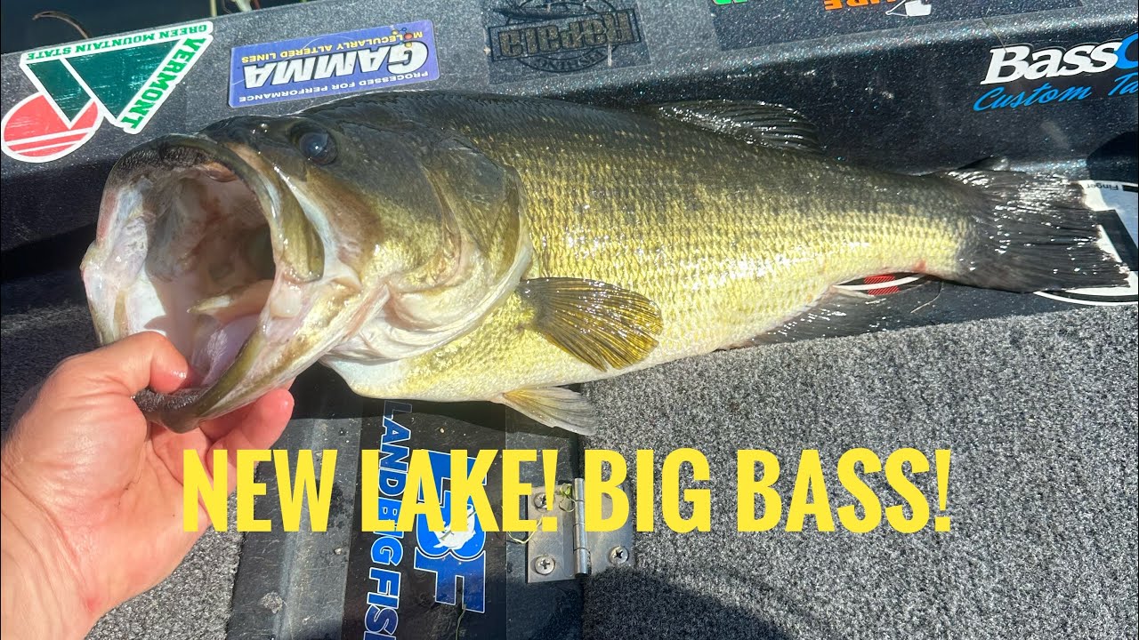New Lake! Big Bass!
