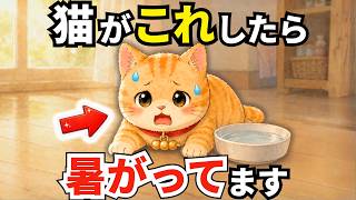 [Dangerous if you don't know!] 4 signs that cats are hot & 3 signs that indicate heatstroke is a ...
