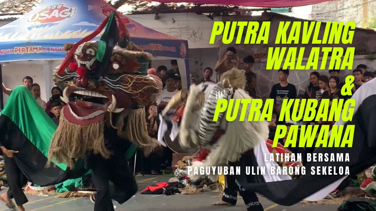 PUTRA KAVLING WALATRA & PUTRA KUBANG PAWANA