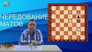 Шахматная миниатюра - чередование матов с помощью близнецов (урок 13) Шахматная миниатюра - чередование матов с помощью близнецов (урок 13)