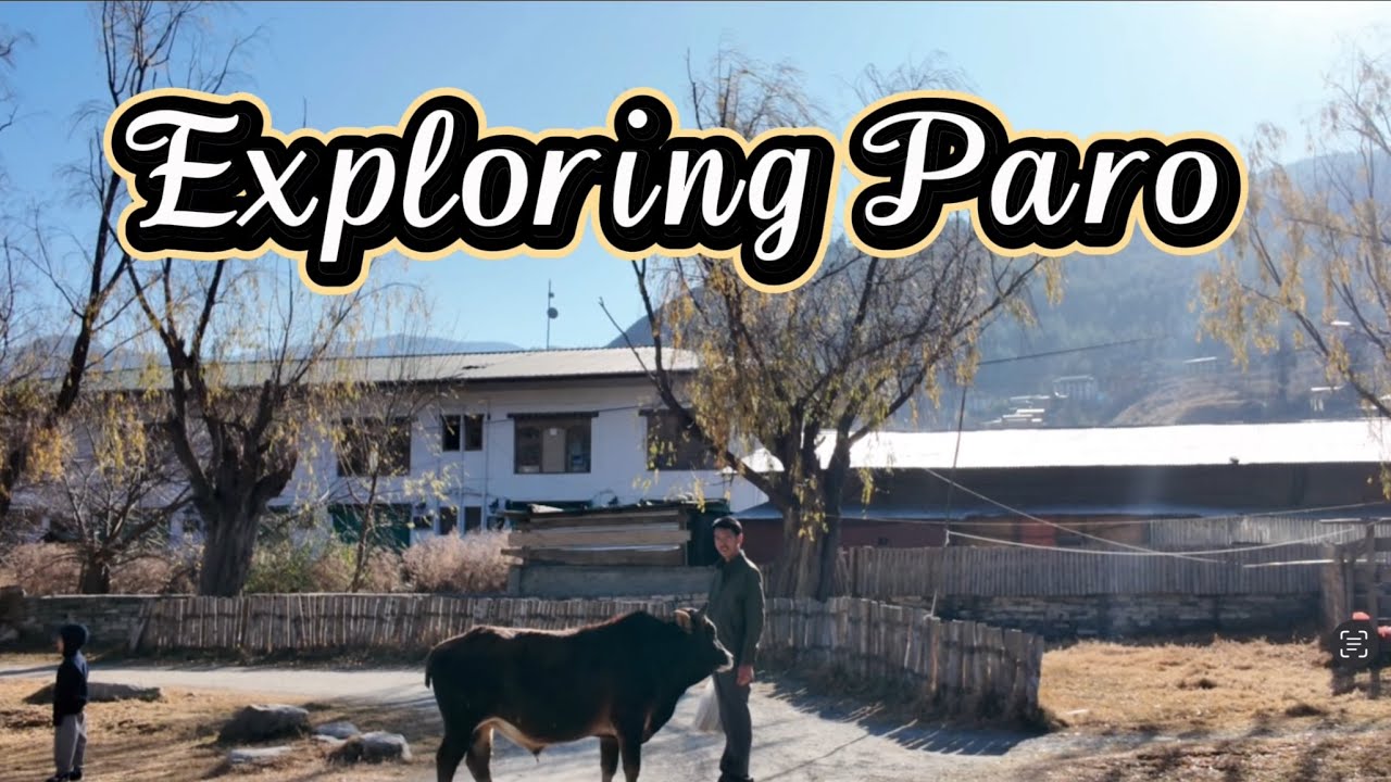 Paro vegetable and fruit market💕￼