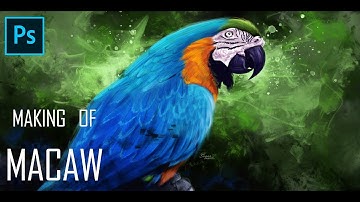 Bird Digital Painting -Macaw-(Time lapse Video)