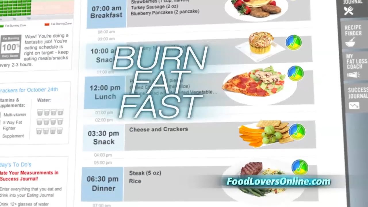 Overview - Food Lovers Fat Loss System
