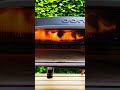 The Top Reasons for Buying a Large Pizza Oven! 🍕🔥