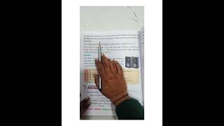 Class 2 | Computer | Term 1 | Chapter 4 Input and Output Devices