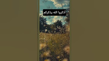 القرآن الكريم/تلاوة خاشعة/ترتيل #المصحف #القرآن_الكريم #راحة_نفسية #quran