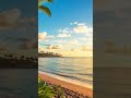 🌴 Hawaii Beach Morning Cafe BGM | 2 Hours Tropical Morning Jazz | Relaxing &amp; Study Music | No Vocals