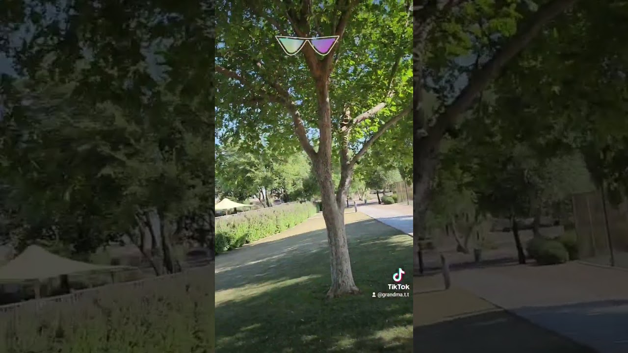 Goodyear AZ Palm Valley community center.