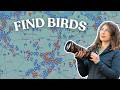 How I Find the BEST Bird Photography Locations (Free Tool)