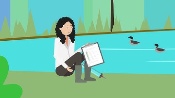 Nature-based solutions for water quality improvements