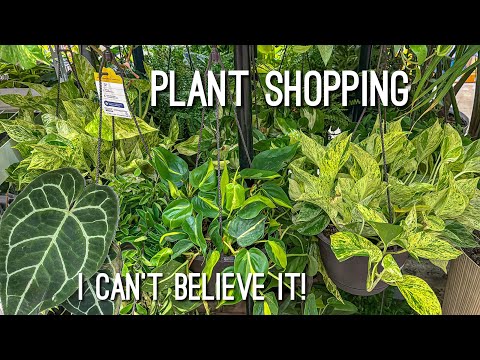 ITS HERE!! Plant