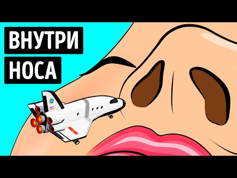 Вот почему вы не можете почувствовать вкус, когда у вас заложен нос