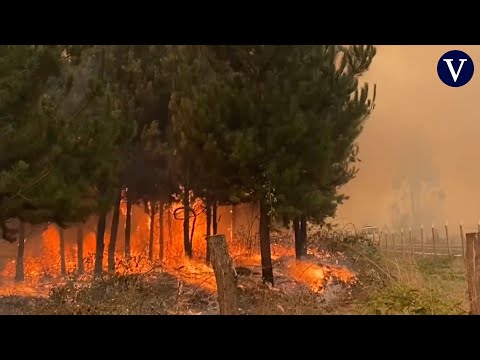 Al menos 23 muertos en los peores incendios en décadas en Chile