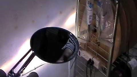 Motorcycle LED Turn Signal Mirrors.mpg