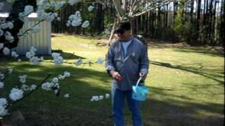 Hiding Easter eggs