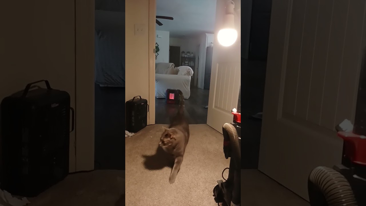 power #outage 🙏🙏🙏