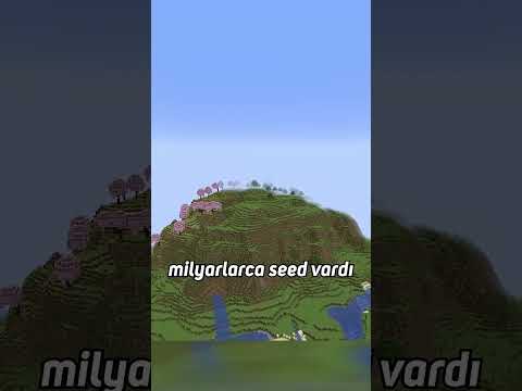 Reis büyük oyunu gördü ⛏️💎