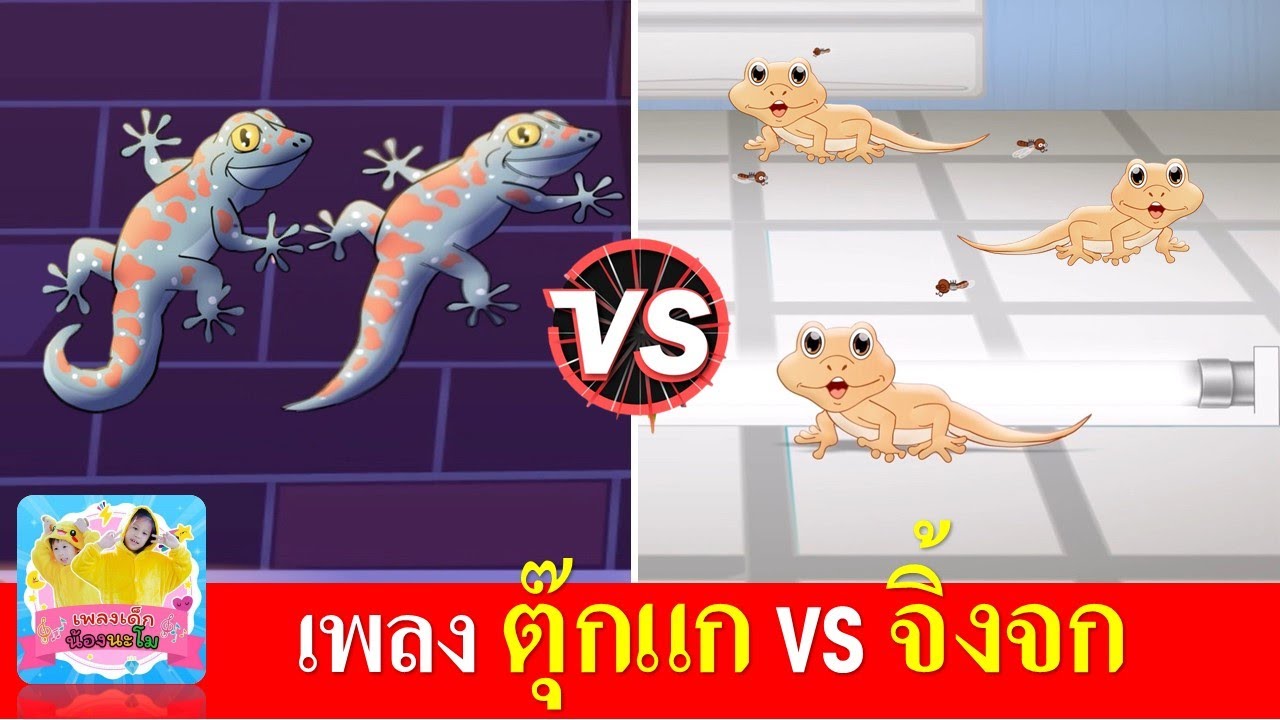 เพลง ตุ๊กแก vs จิ้งจก | เพลงเด็ก | เพลงตุ๊กแก | เพลงจิ้งจก | เรียนรู้เรื่องสัตว์