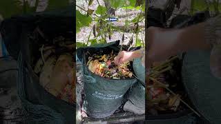 Buang limbah rumah tangga jadi kompos ??? #berkebun #gardening #youtubeshorts