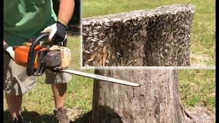 🔵 Termite Swarm, 🐜 He Cuts the Swarming NEST Open - Teach a Man to Fish