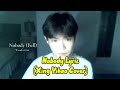 Nobody Lyric Wonder Girls Xing Yihao Cover Lyrics