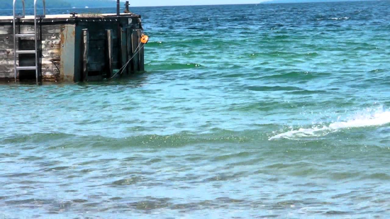 ProBoat Formula Fastech RC Boat - YouTube