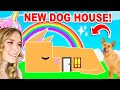 Building My NEW ADOPTED DOG A House In Adopt Me! (Roblox)