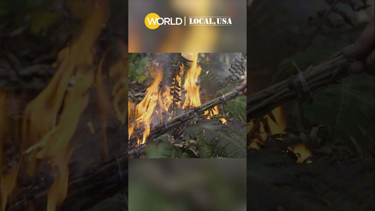 How Fire Restores, Not Only Burns, the Land 