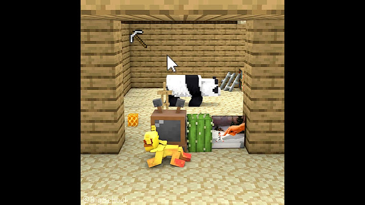 Choose the item that can cover for Penny to escape the bear and get back the hive! 👍