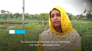 Tackling Water Challenges An Integrated Approach To Support Farmers In Southern Bangladesh