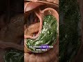 What Happens Inside Your Body When You Eat Spinach? #spinach #humanbody