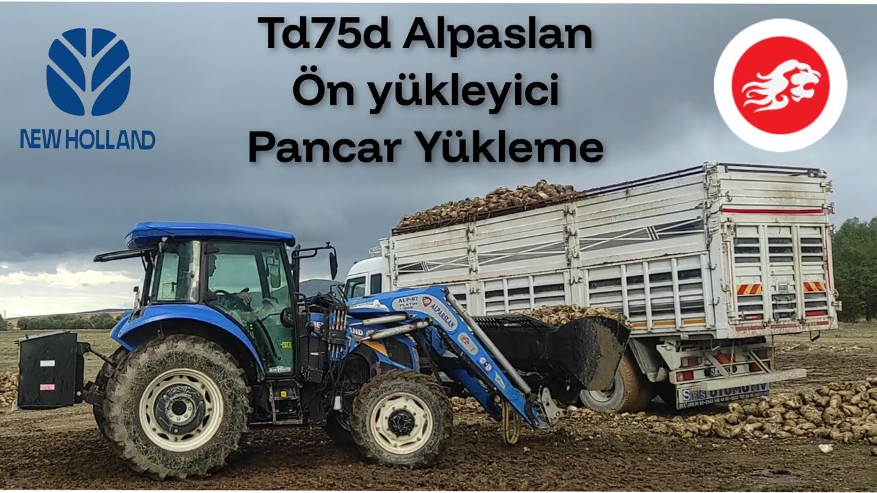 Td75d Alparslan Platin ALP-07 ön yükleyici ile Pancar Yükleme 