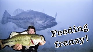 Ice Fishing GIANT Bass!