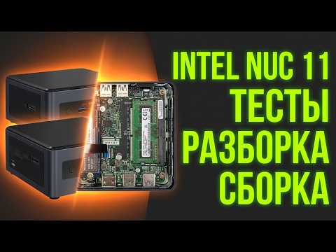 Компьютер Intel NUC 11 (BNUC11TNHI30002)