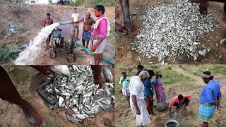 எங்கள் ஊர்  ஆற்று படுகையில் மீன் பிடி வேட்டை/ FISH CATCHING IN VILLAGE RIVER,