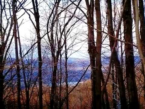 93 State Line Rd, Brewster, NY home video tour