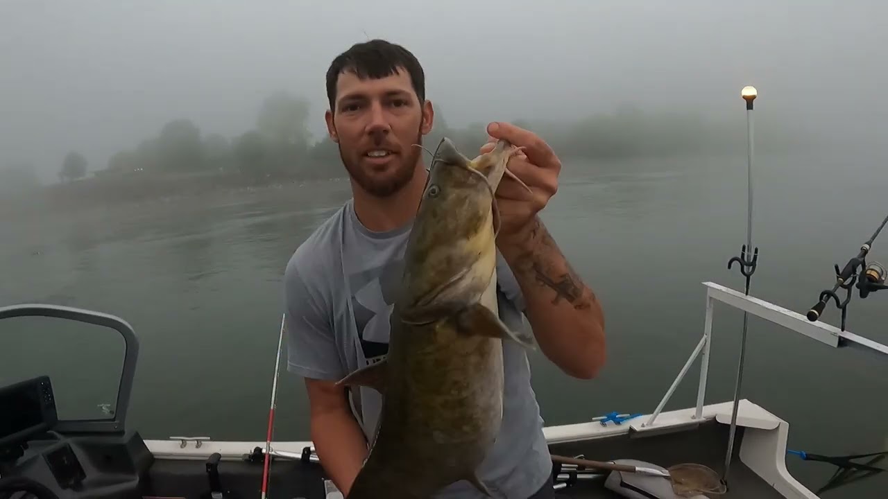 Catfishing Guntersville Dam. BIG FLATHEAD.