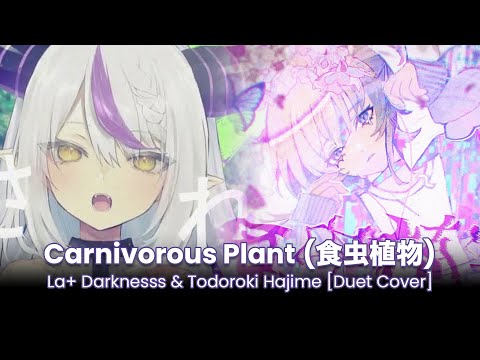 食虫植物 (Carnivorous Plant) - ラプラス・ダークネス & 轟はじめ [Duet Cover]