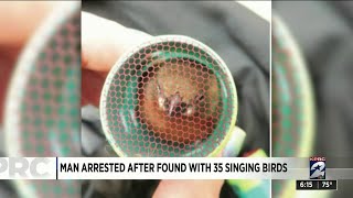 Man arrested after being found with 35 singing birds