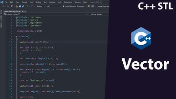 Vector in C++ STL