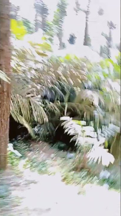 konon kisah sabdo palon !? gunung tidar magelang jawa tengah #shorts