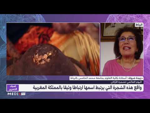 زوبيدة شروف تسلط الضوء على أهمية قرار الأمم المتحدة اعتماد 10 ماي يوما عالميا لشجرة الأركان