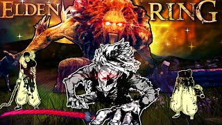 The Elden Ring MULTIPLAYER Experience